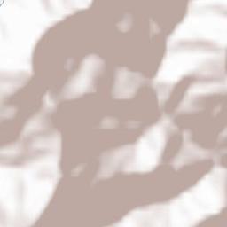 Ferriere Terrain Map