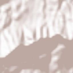 Carpineti Terrain Map