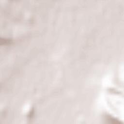 Orlinoye Terrain Map