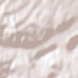 Gornje Živinice Terrain Map