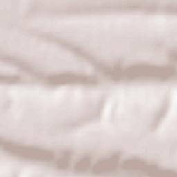 Comuna Botoşeşti-Paia Terrain Map