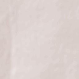 Comuna Corbu Terrain Map