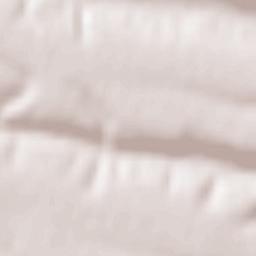 Botoşeşti-Paia Terrain Map