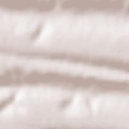 Comuna Seaca de Pădure Terrain Map