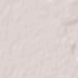 Siliștea Gumești Terrain Map