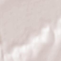 Siliştea Terrain Map