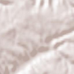 Montaigu-de-Quercy Terrain Map