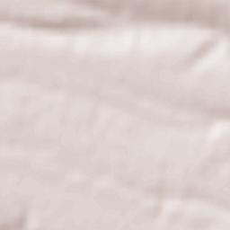 Seaca de Pădure Terrain Map