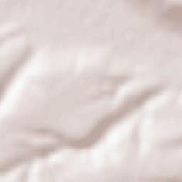 Predeşti Terrain Map