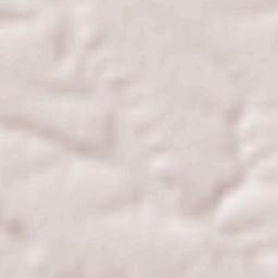 Comuna Pieleşti Terrain Map