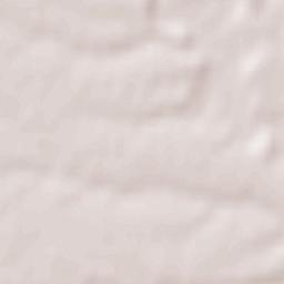 Movileni Terrain Map