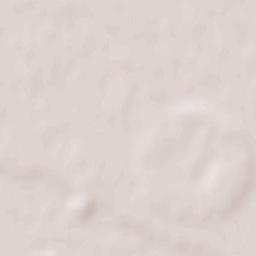 Măgurele Terrain Map