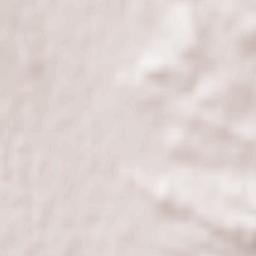 Taūshyq Terrain Map