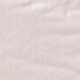 Pieleştí Terrain Map