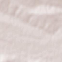 Gubskaya Terrain Map