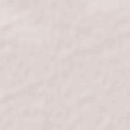 Vostochny Terrain Map