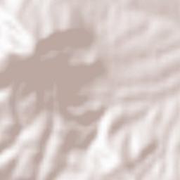 Aranđelovac Terrain Map