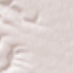 Oprişor Terrain Map