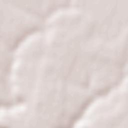 Verbiţa Terrain Map