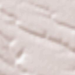 Comuna Vela Terrain Map