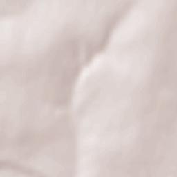 Mircea Vodă Terrain Map