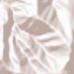 Pamparato Terrain Map