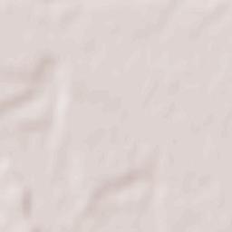 Oraş Videle Terrain Map