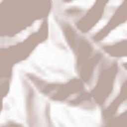 Vernante Terrain Map