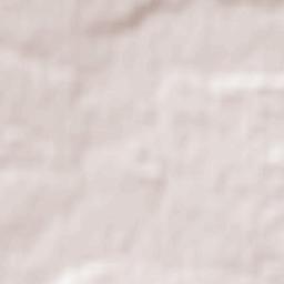 Grazhdanskoye Terrain Map