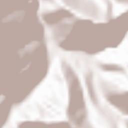 Limone Piemonte Terrain Map