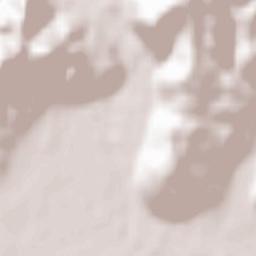 Ljubovija Terrain Map