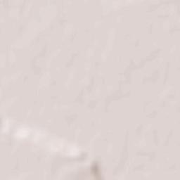 Radovanu Terrain Map