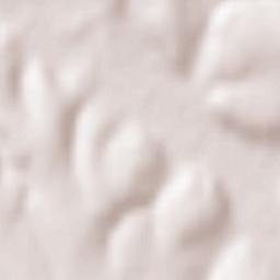 Comuna Peştera Terrain Map