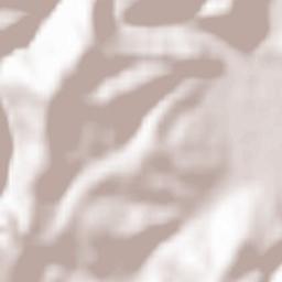 Donji Vakuf Terrain Map