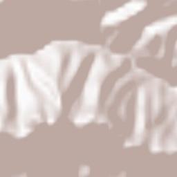 Castelbianco Terrain Map