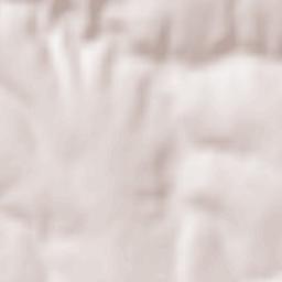 Pietreni Terrain Map