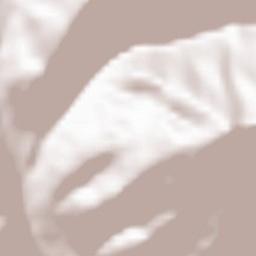 Saint-Martin-Vésubie Terrain Map