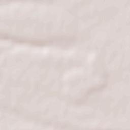 Deveselu Terrain Map