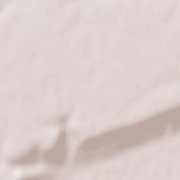 Pietrele Terrain Map