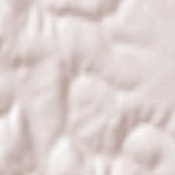 Băneasa Terrain Map