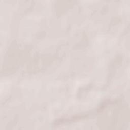 Viișoara Terrain Map