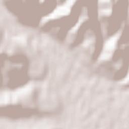 Dobrinje Terrain Map