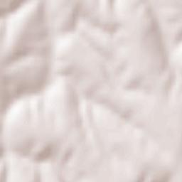 Oraş Bãneasa Terrain Map