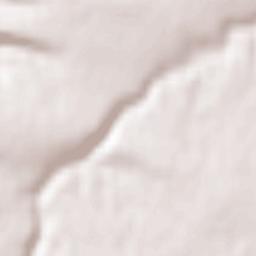 Borgustanskaya Terrain Map