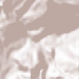 Civitella di Romagna Terrain Map