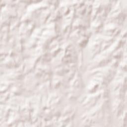 Osceola County Terrain Map