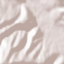 Pajić Polje Terrain Map