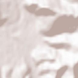 Bajina Bašta Terrain Map