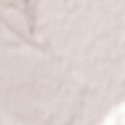 Jagodina Terrain Map