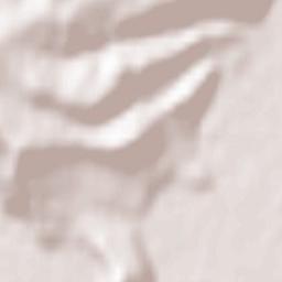 Anuchino Terrain Map